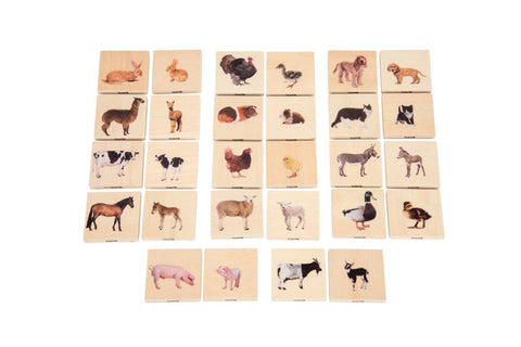 Domestic Animal Family Match