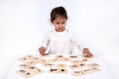 Wild Animal Family Match