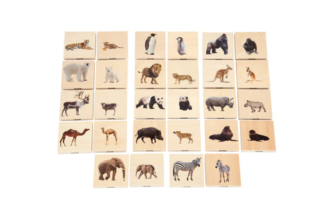 Wild Animal Family Match