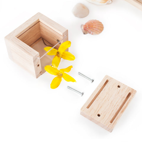 Treasure Block - Small