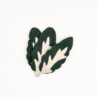 Silverbeet